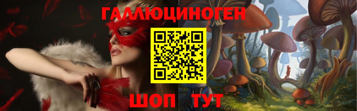 Псилоцибиновые грибы GOLDEN TEACHER  где купить наркоту  Михайловка  Вход с VPN  Галлюциногенные грибы GOLDEN TEACHER 